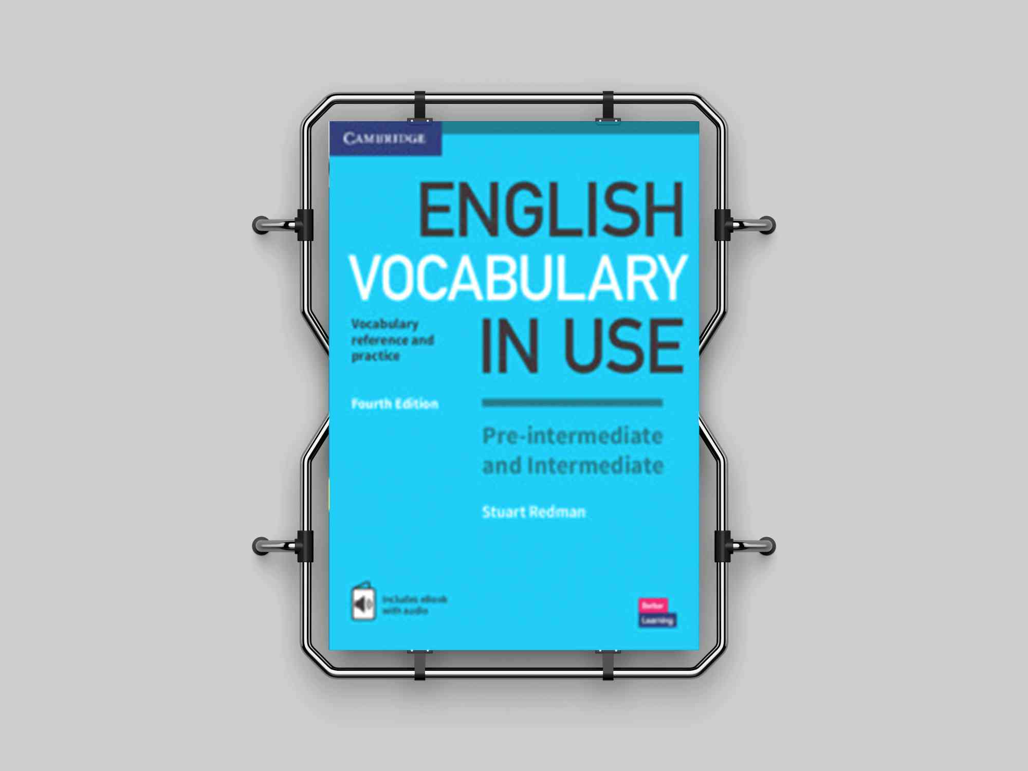 Vocabulary In Use Pre-intermediate and Intermediate
